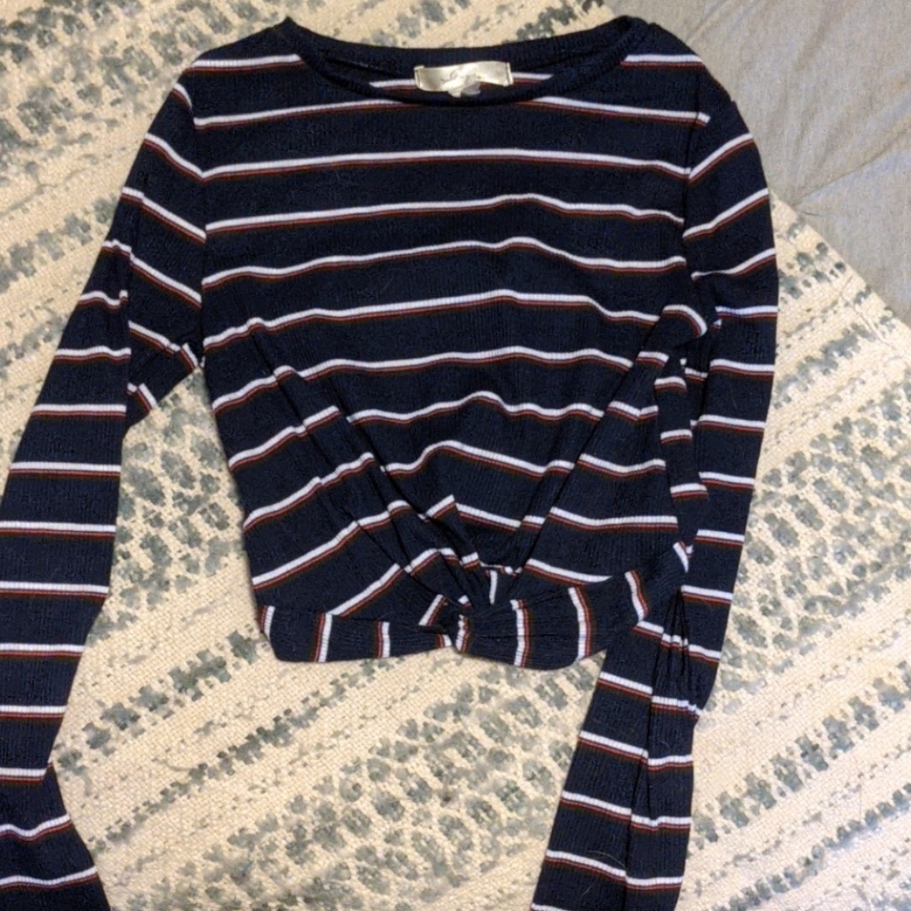 Sage Long Sleeve crop top